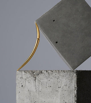 Shaun Leane Earrings