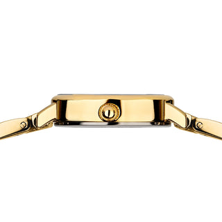 Gold watch case on a white background