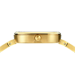 Gold watch case on a white background