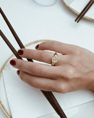 Ania Haie Gold Plated Silver Emblem Adjustable Signet Ring