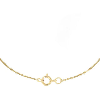 Gold necklace with a clasp on a white background