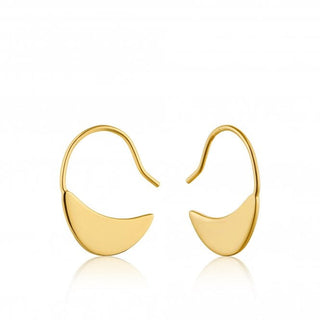 Golden Geometry Hook Earrings