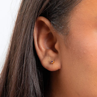 Gold Plated Silver 6-Claw Purple CZ Stud Earrings
