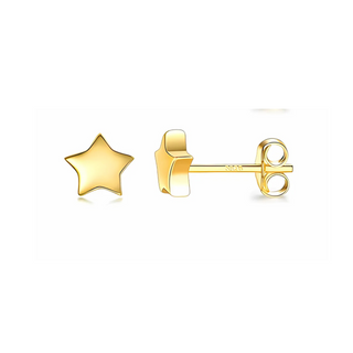 Large Star Stud Earrings