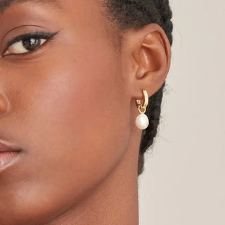 Ania Haie Gold Plated Silver Pearl Drop Sparkle Huggie Hoop Earrings