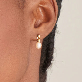 Pearl Drop Stud Earrings
