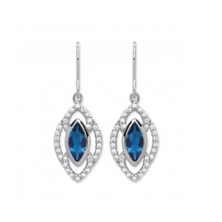 Silver Blue Crystal Drop Earrings