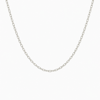 A delicate silver chain necklace shown against a plain white background.
