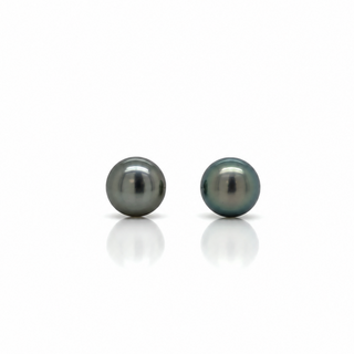 A pair of round dark gray pearl stud earrings on a clean white background with soft reflections below.