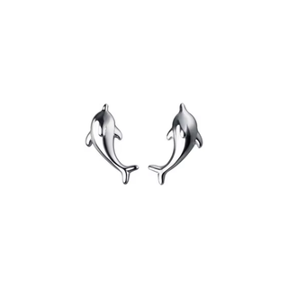 Silver Dolphin Stud Earrings