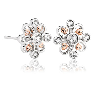 Clogau Tree of Life Clover Earrings | Silver Clover Jewellery | 3SLKSE