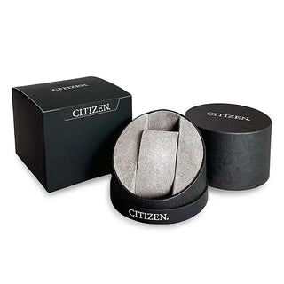 Citizen Arezzo Two-Tone Mens Watch | Roman Numerals Watch